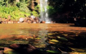 piscina-natural-cachoeira-andorinhas-3-quedas-brotas-1024×683
